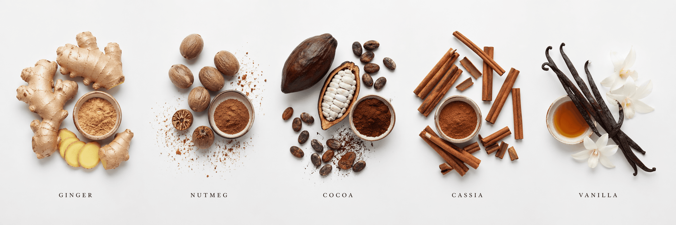 BCC Rum botanicals — ginger, cocoa, cinnamon, cassia